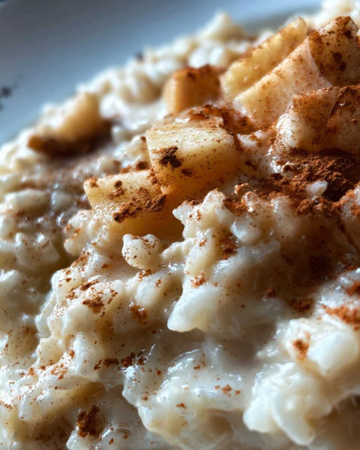 Apple Cinnamon Rice Pudding - detail 1