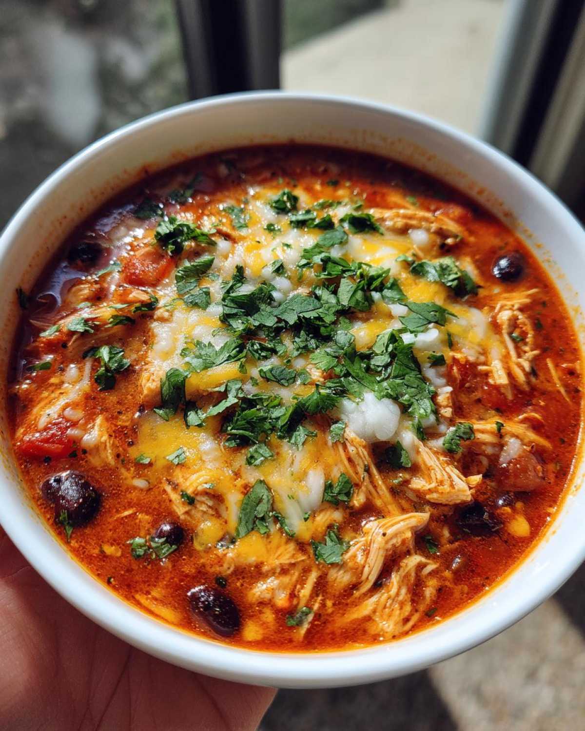 Chicken Enchilada Soup - detail 3
