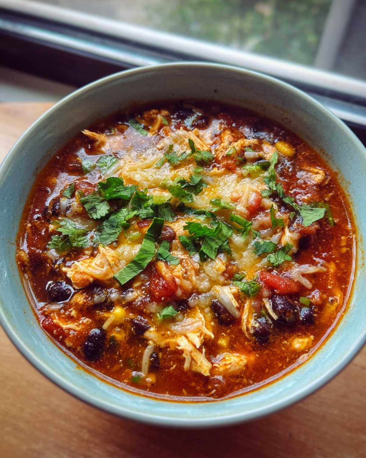 Chicken Enchilada Soup - detail 4