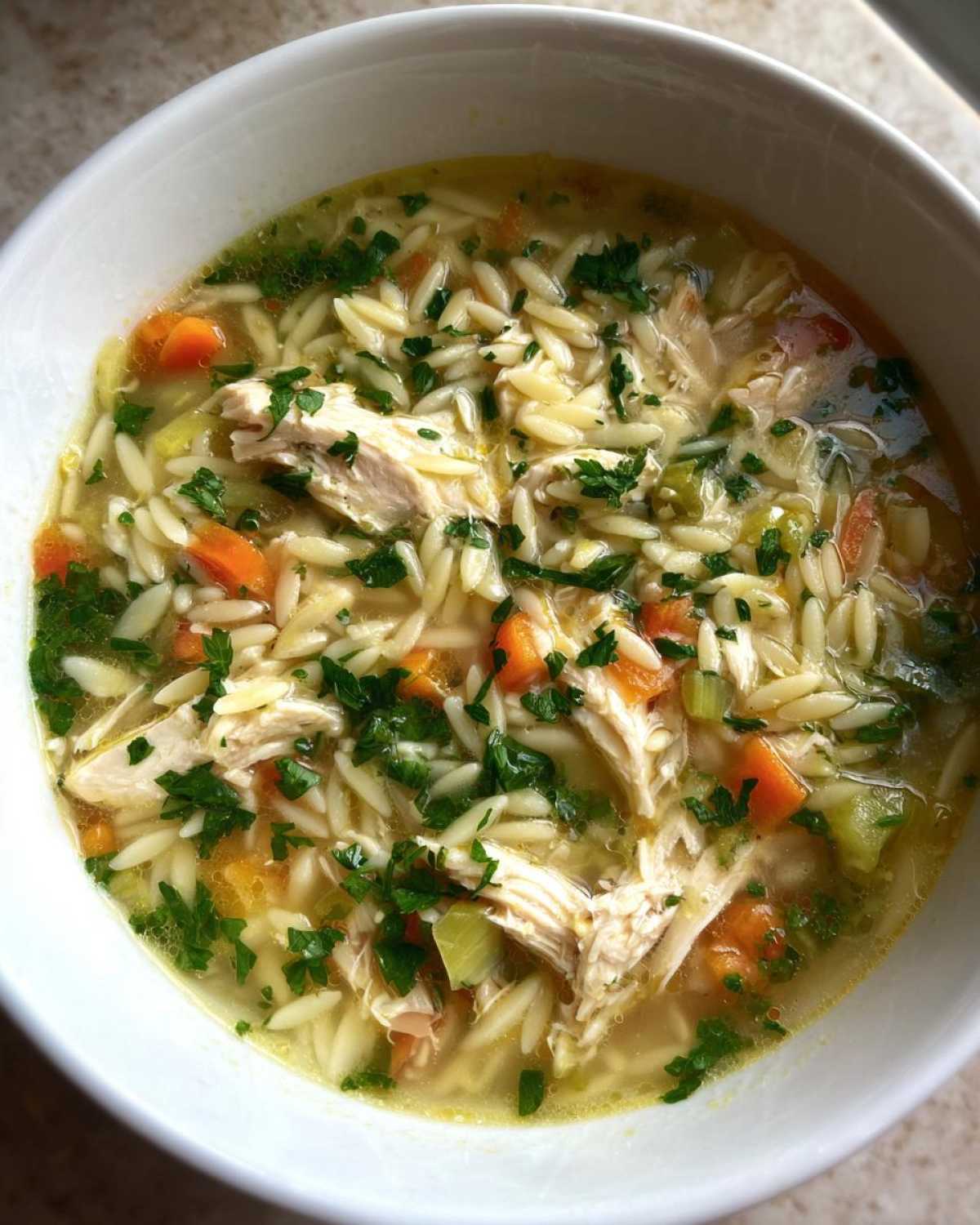 Lemon Chicken Orzo Soup - detail 3