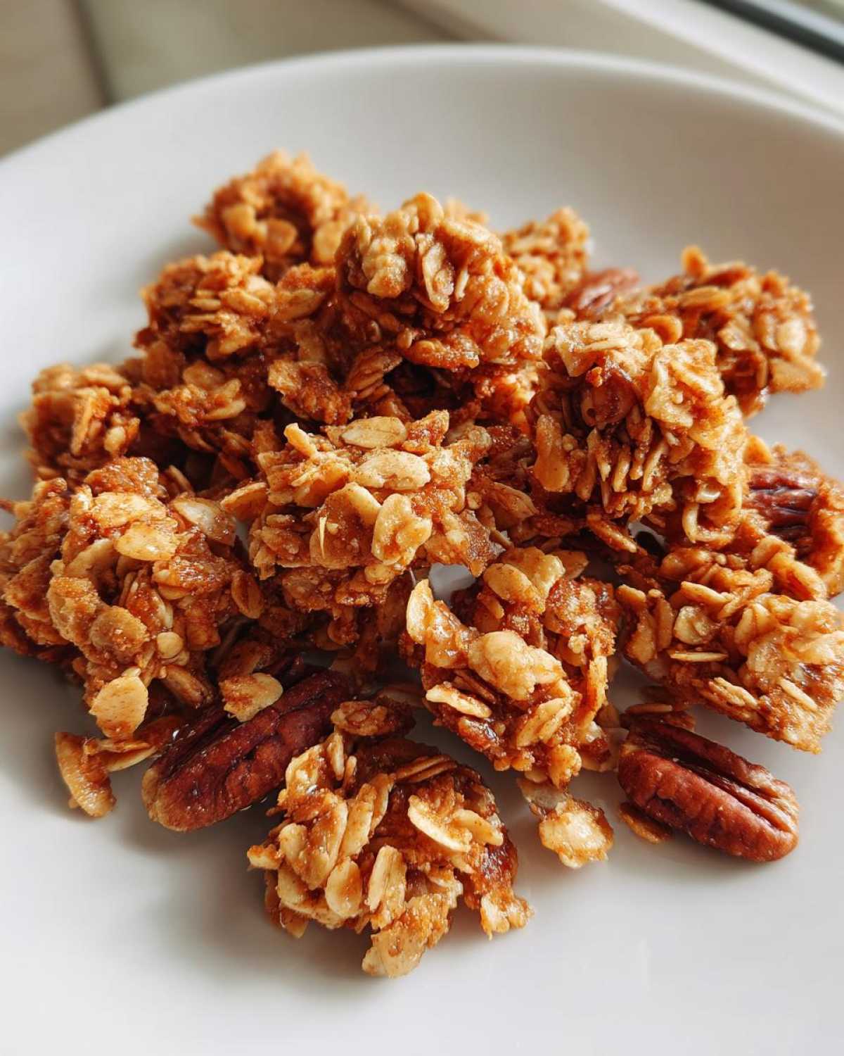 Maple Pecan Granola - detail 4