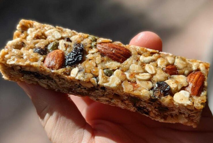 Trail Mix Granola Bars