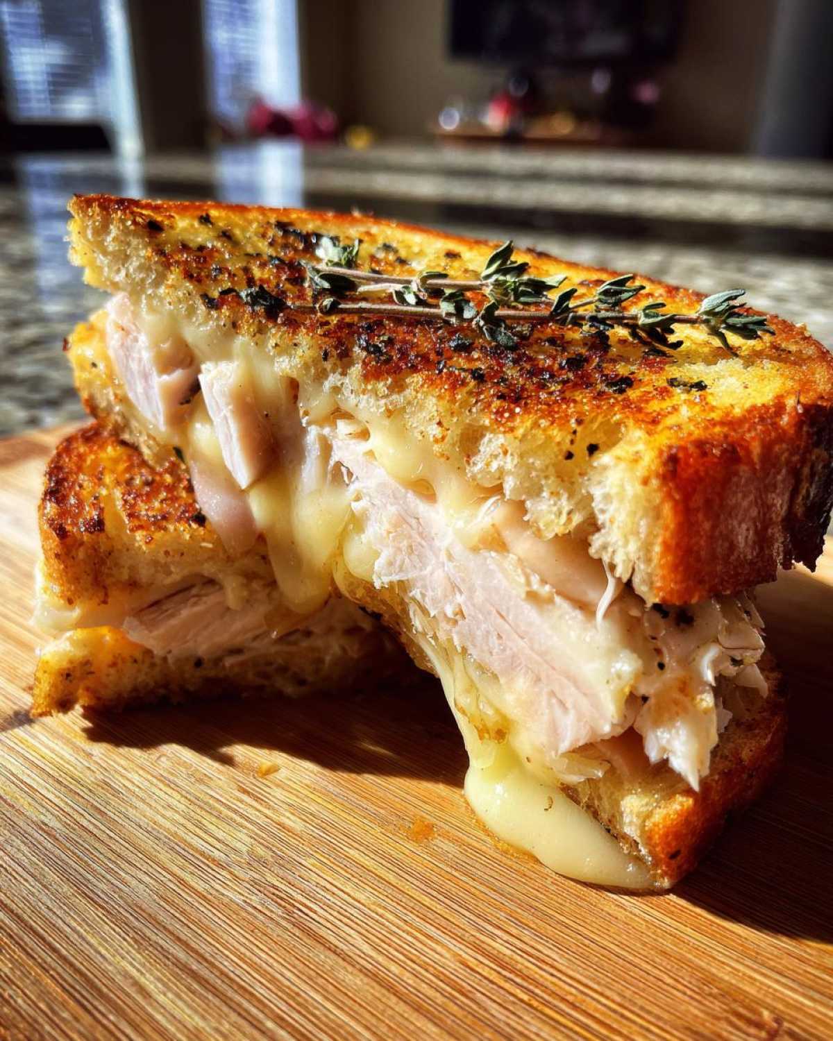 Turkey Apple Brie Sandwich - detail 1