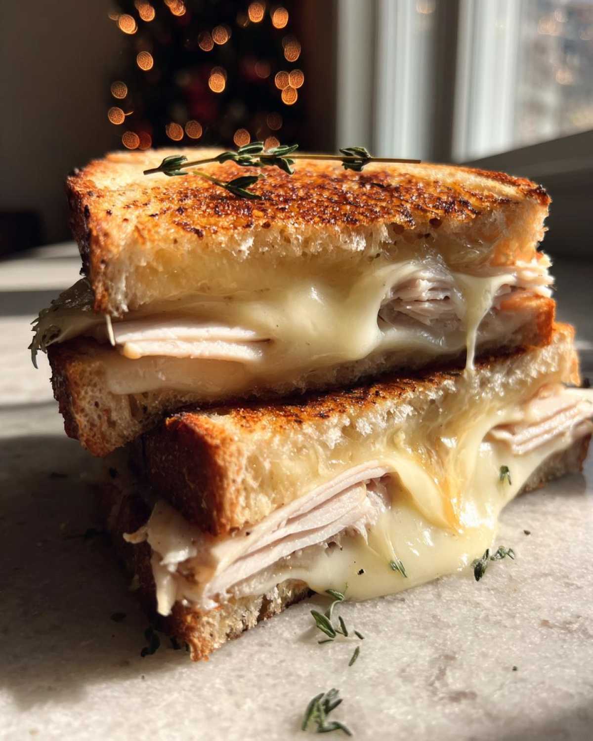 Turkey Apple Brie Sandwich - detail 2