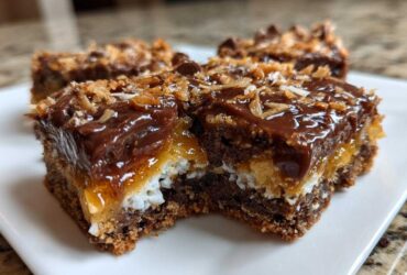 A close-up, cross-section view of chewy magic cookie bars showing the graham cracker crust, coconut, caramel, and chocolate topping.
