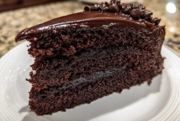 Close-up of a moist slice of chocolate fudge cake layered with dark ganache and topped with chocolate chips.