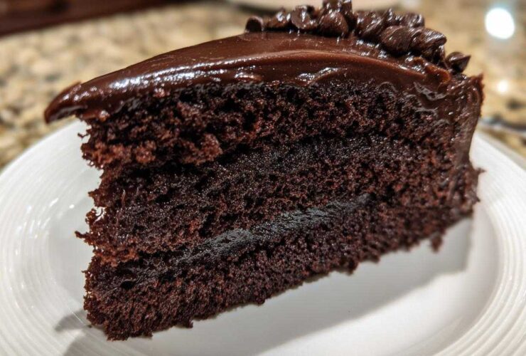 Close-up of a moist slice of chocolate fudge cake layered with dark ganache and topped with chocolate chips.