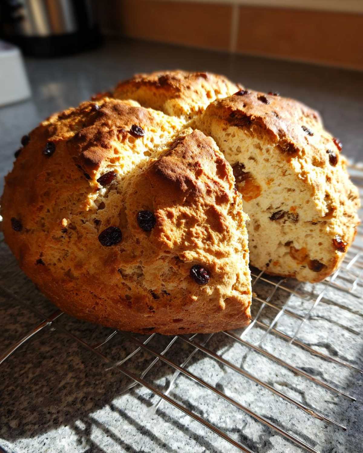 A round loaf of Easy Irish Soda Bread with buttermilk and raisins, cut into quarters and cooling on a wire rack.