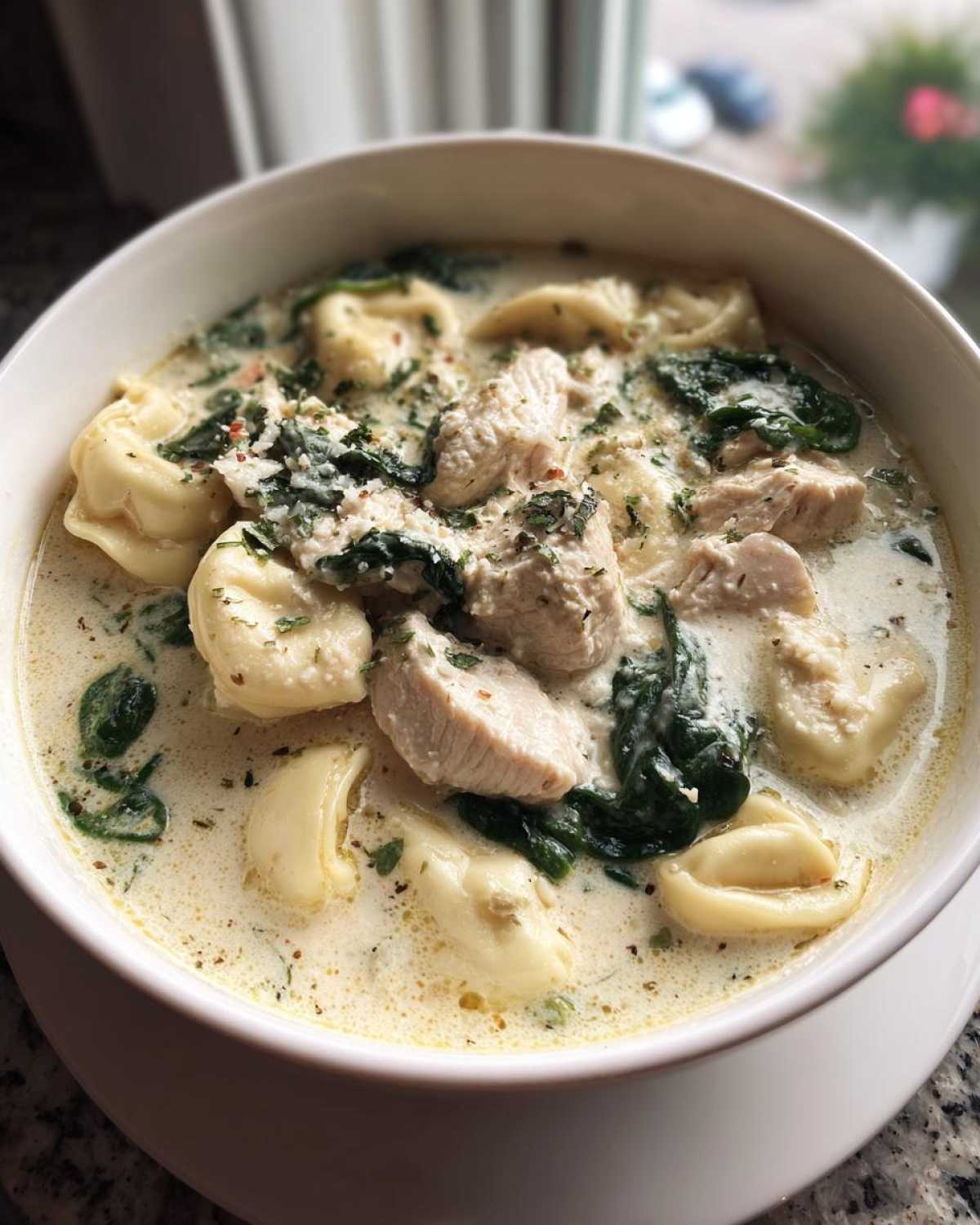 Close-up of a white bowl filled with creamy chicken tortellini soup, featuring chunks of chicken, spinach, and herbs.