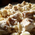 Macro shot of tender chicken pieces coated in a rich, creamy sauce mixed with orzo pasta in Instant Pot Creamy Chicken and Orzo.
