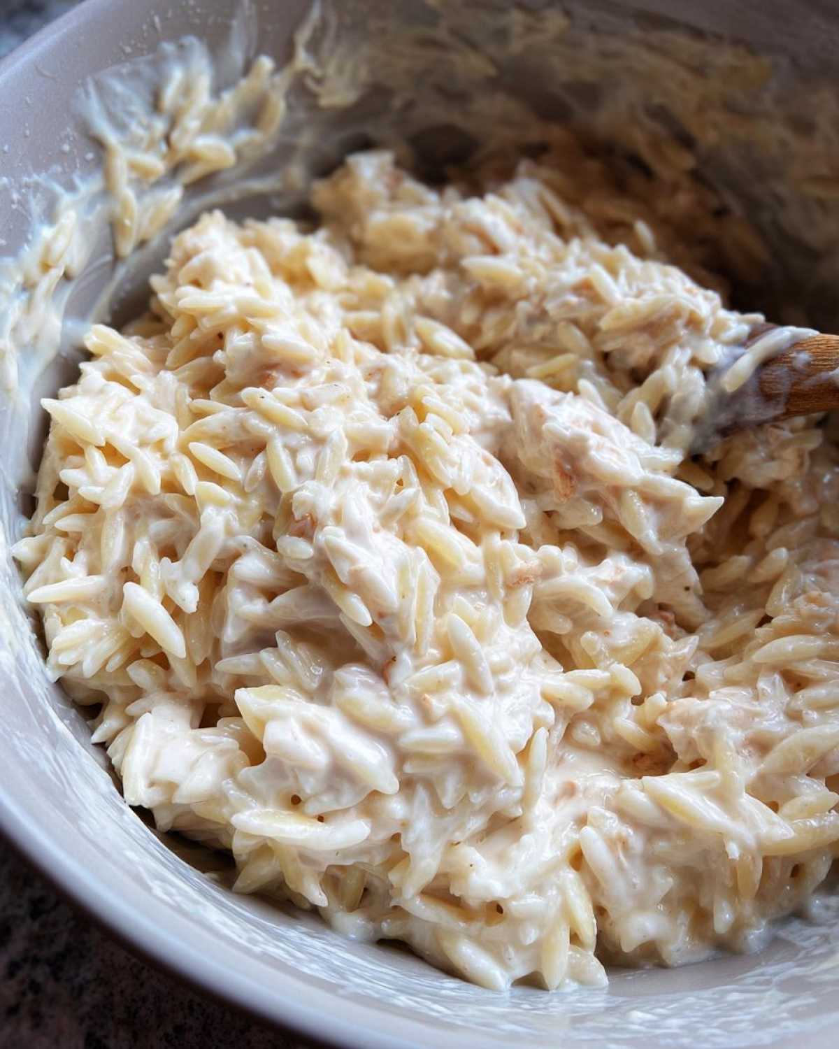Close-up of orzo pasta and shredded chicken coated in a creamy white sauce, part of the Instant Pot Creamy Chicken and Orzo.