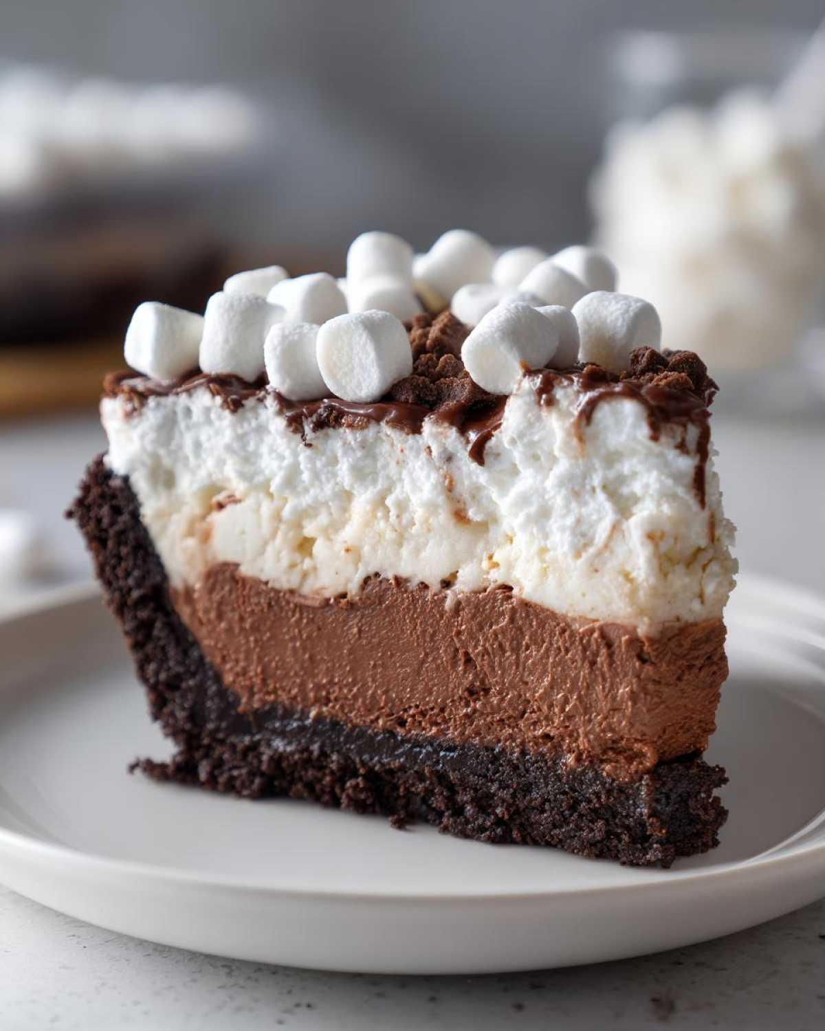 A rich slice of Mississippi Mud Pie showing four distinct layers, topped with whipped cream and mini marshmallows.